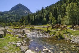 Datos del turismo rural en Catalunya en 2021