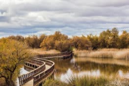 Islas, pasarelas y aves en las Tablas de Daimiel