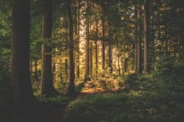 El 86% de los usuarios del turismo rural se consideran viajeros ecoturistas